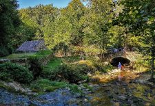 Les Martinets du Lézert à La Bastide l’Evêque
