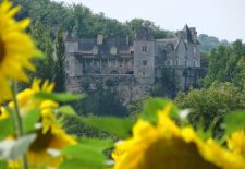 Château de Cénevières