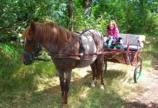 Ferme du Soulié : balades à dos d’ânes ou de poneys