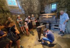Les Martinets du Lézert à La Bastide l’Evêque