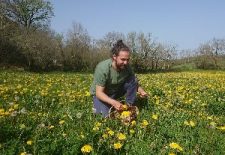 Balade plantes sauvages comestibles à Najac avec Michaël Fayret