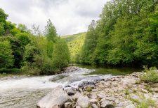 Lâchers de truites – Rivière Aveyron à Najac