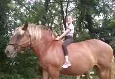 Ferme du Soulié : balades à dos d’ânes ou de poneys