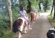 Ferme du Soulié : balades à dos d’ânes ou de poneys